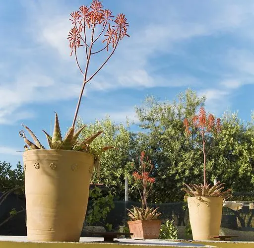 Σπίτι διακοπών Michela Tra Cielo E Mare