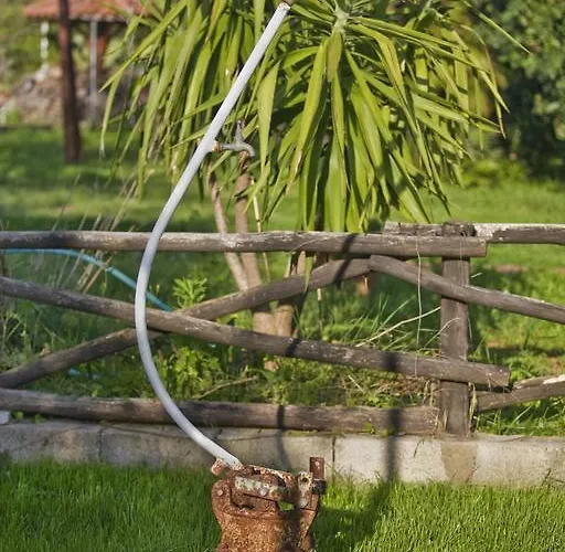 Дом отдыха Michela Tra Cielo E Mare